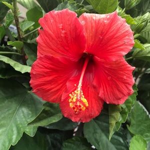 Meet your Posher, Stacy